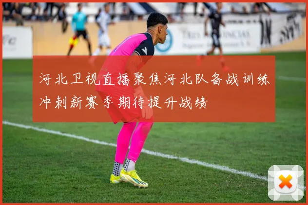 河北卫视直播聚焦河北队备战训练冲刺新赛季期待提升战绩